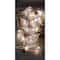 Apothecary &#x26; Company&#x2122; Decorative String Lights, Traditional Bulbs